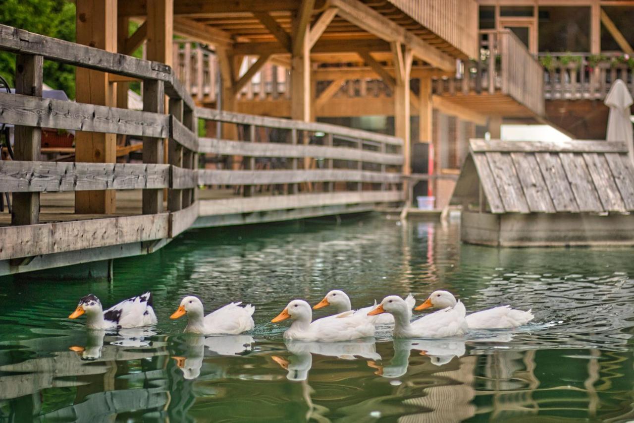 Slovenia Eco Resort Стаховица Экстерьер фото