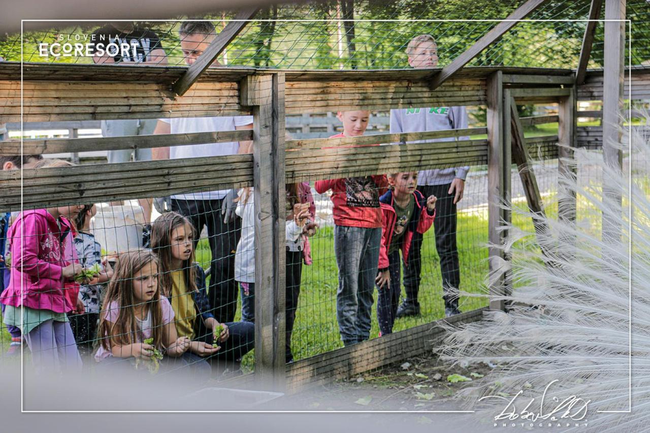 Slovenia Eco Resort Стаховица Экстерьер фото