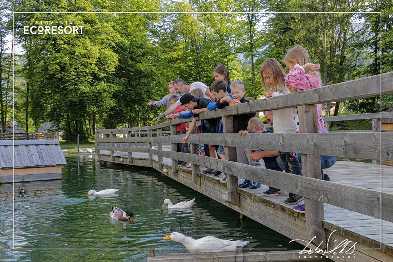 Slovenia Eco Resort Стаховица Экстерьер фото