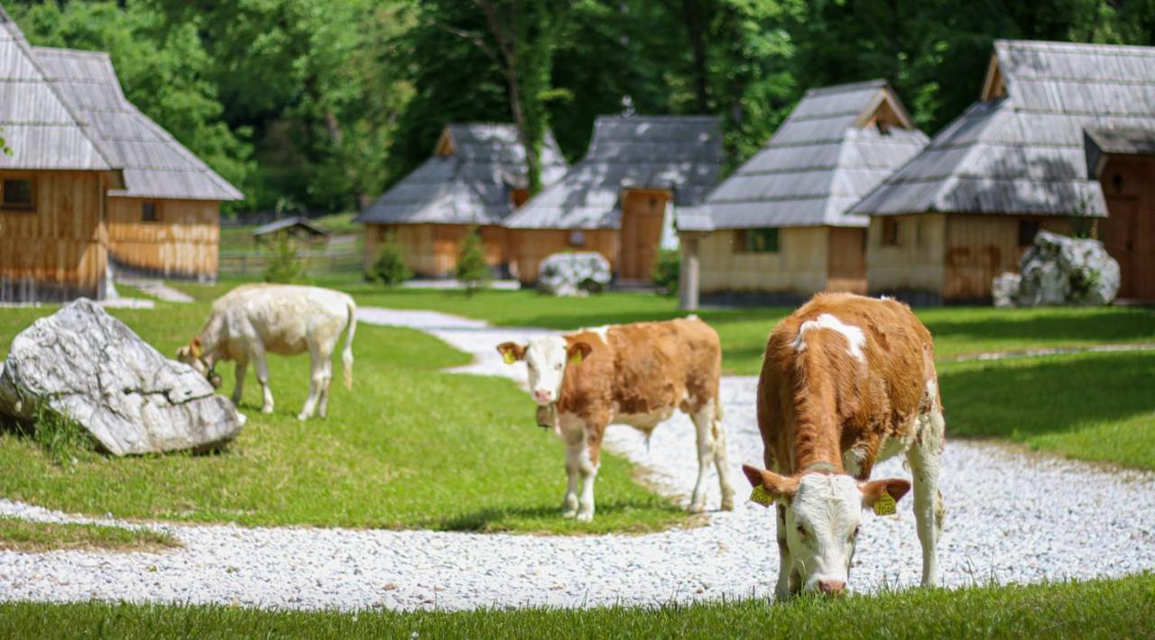 Slovenia Eco Resort Стаховица Экстерьер фото