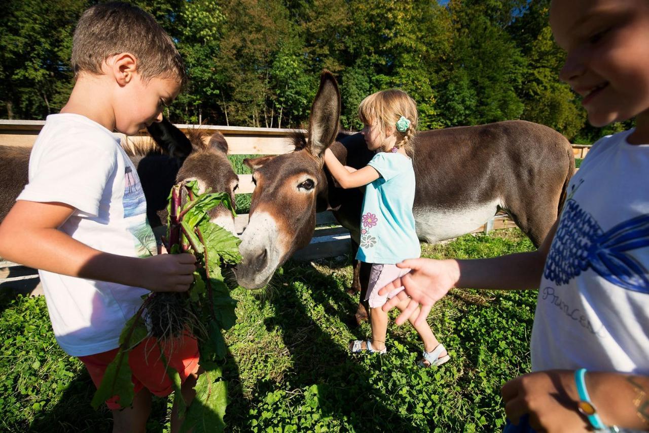 Slovenia Eco Resort Стаховица Экстерьер фото