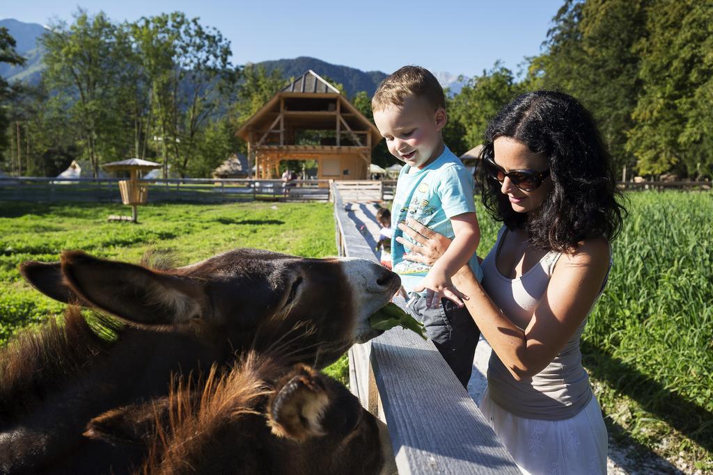 Slovenia Eco Resort Стаховица Экстерьер фото